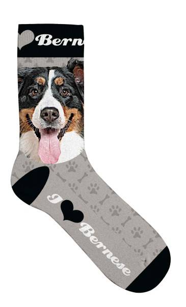 Socken "Bernese Mountain Dog"